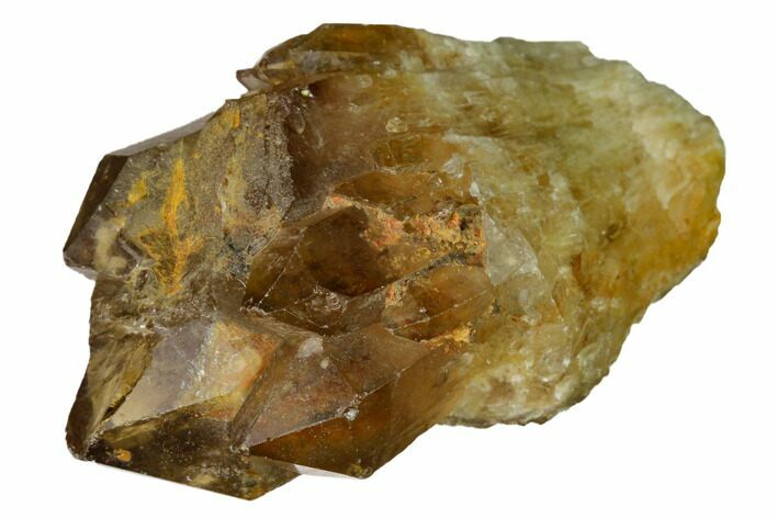 Citrine Quartz Crystal Cluster - Lwena, Congo #170671